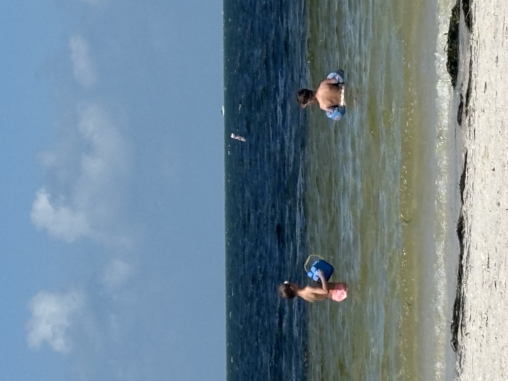 The boys wading in the gulf with their buckets
